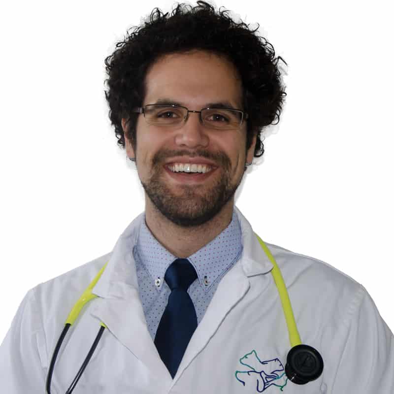 Dr-Domenic-Ciarlillo Dr-Domenic-Ciarlillo