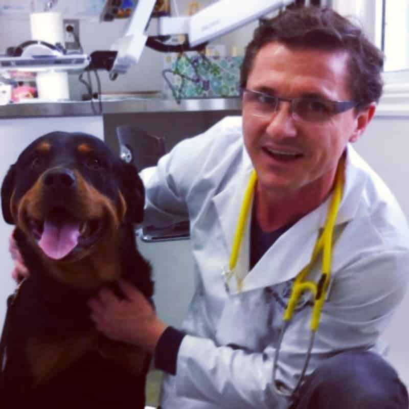 Dr-Marku Dr-Marku
