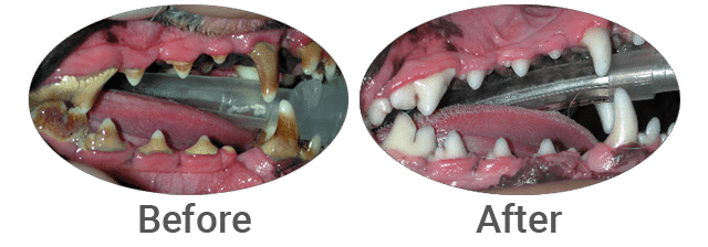 Before and after dental treatment